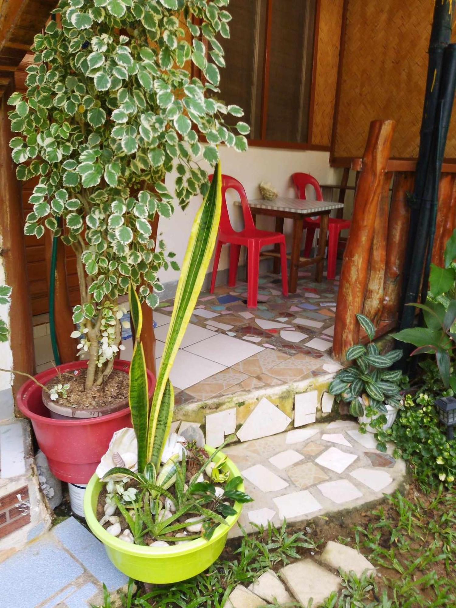 Alfa Garden Lodge El Nido Bagian luar foto